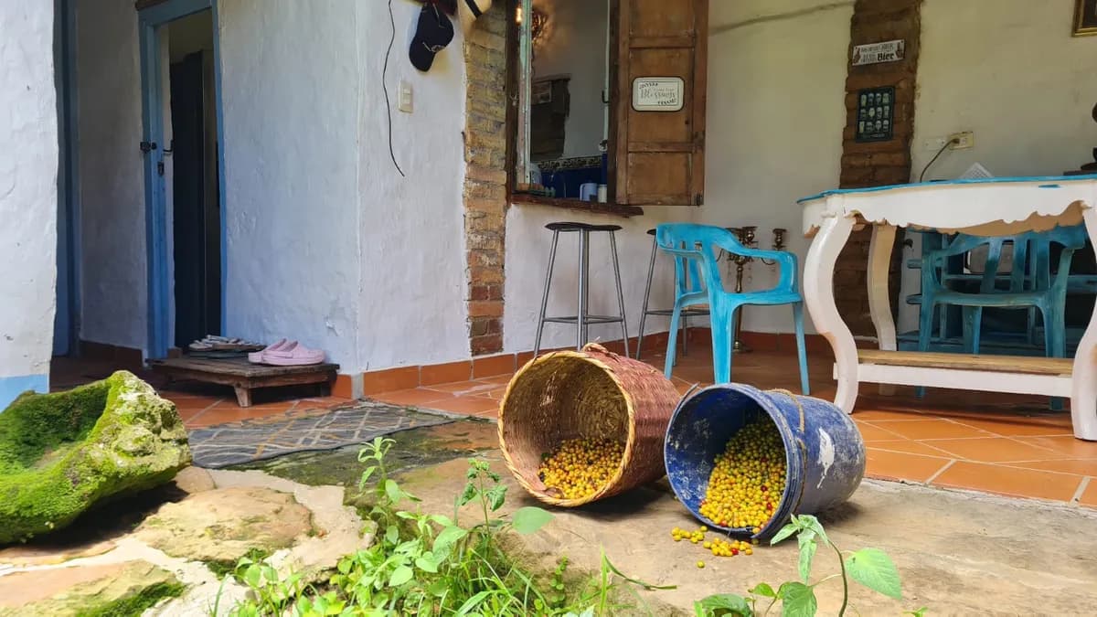 La finca