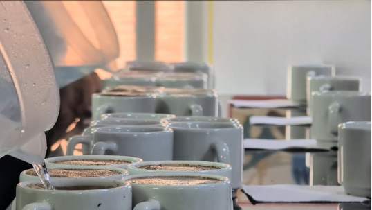 Servida de agua en la mesa de catación
