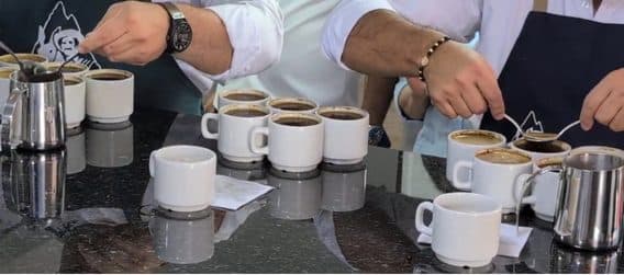 Evaluación en la mesa de catación de la Arena